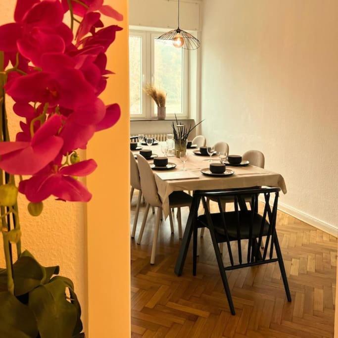Gemuetliche Rheinblick Residenz Daire Koblenz  Dış mekan fotoğraf